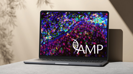 Year-Round Advertising